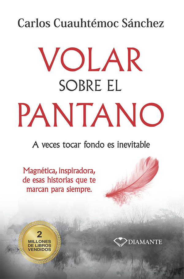 VOLAR-SOBRE-EL-PANTANO